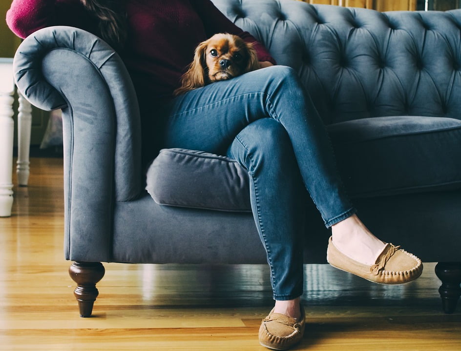 Most Effective Sofa Cleaning Methods That Professionals Use